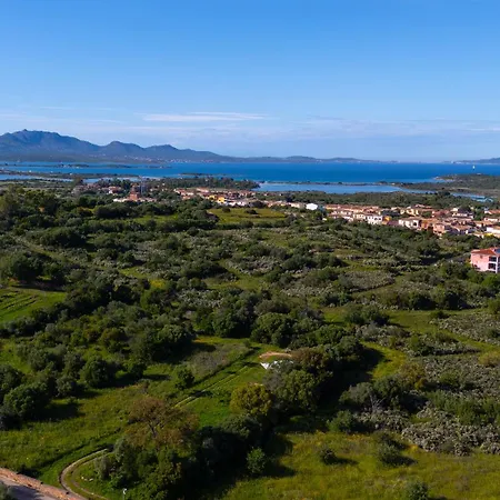 Angolino Di Sole * Murta Maria